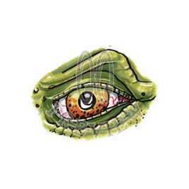 Dino Eye