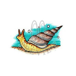 Seafloor Snail