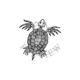 Sea Turtle Skeleton BG