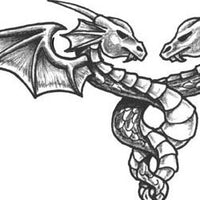 Intertwined Dragons