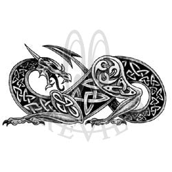 Large Celtic Dragon