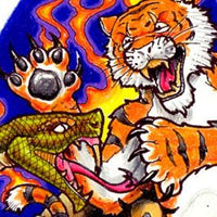 Tiger vs Snake
