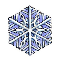 Blueback Snowflake